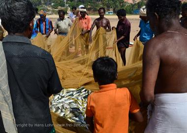 Fishing with net, Chowara Beach,_DSC_9915_H600